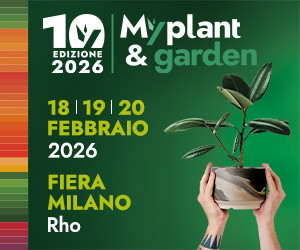 300x250-ITA